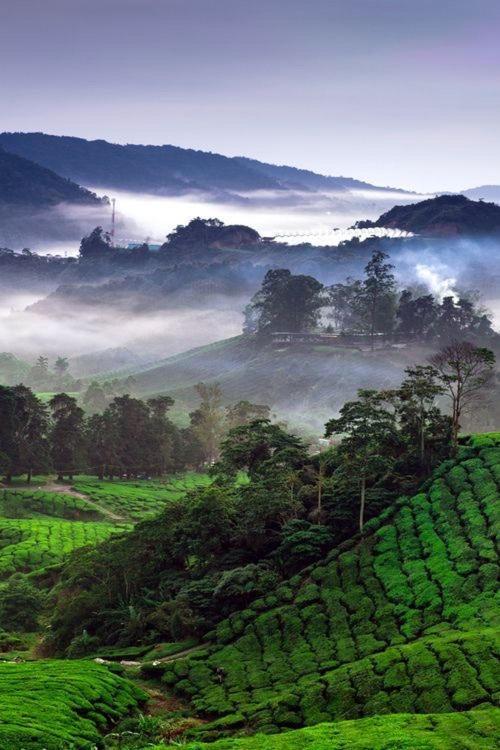 Ou Inn Cameron Highlands ,Ferm Nyonya Restaurant Тана Рата Екстериор снимка