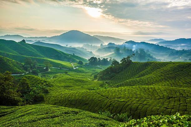 Ou Inn Cameron Highlands ,Ferm Nyonya Restaurant Тана Рата Екстериор снимка
